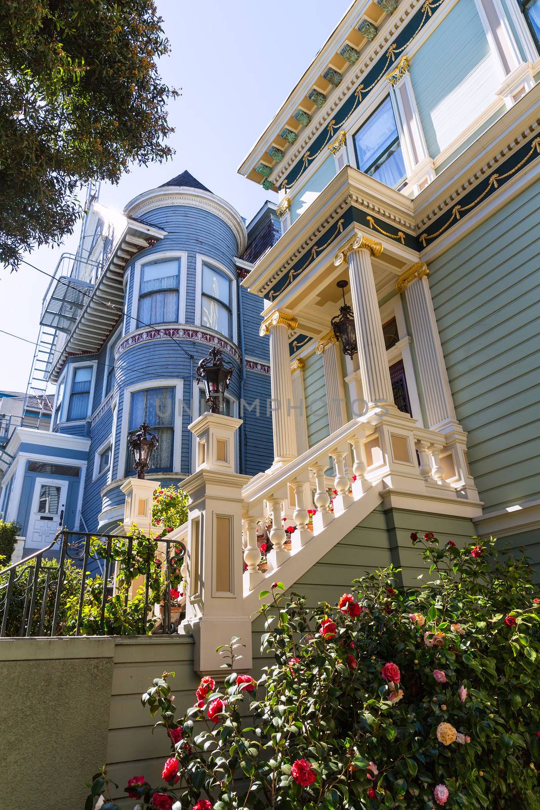 San Francisco Victorian houses near Alamo Square California by lunamarina
