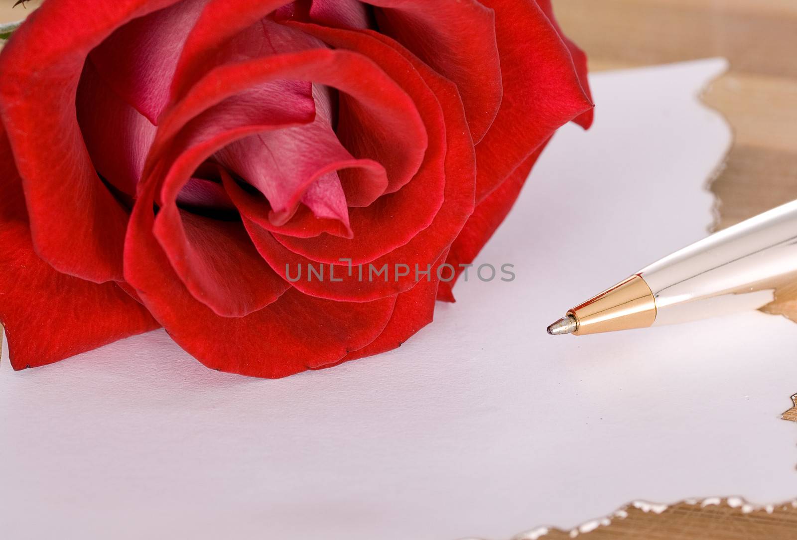 Red rose and pen on paper