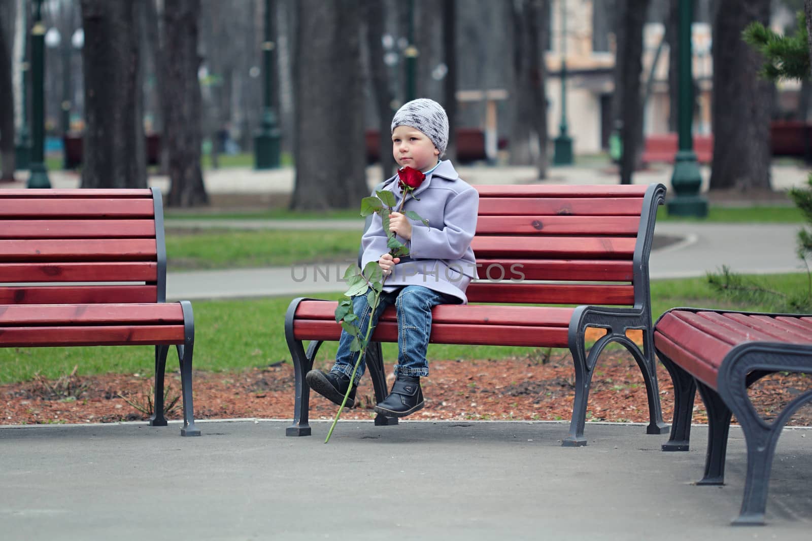 Little romantic boy with rose  waiting in the park
