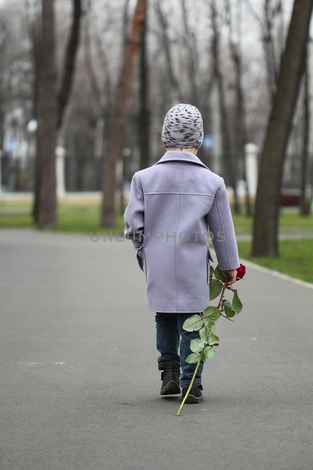 Little boy walking the park by dedmorozz