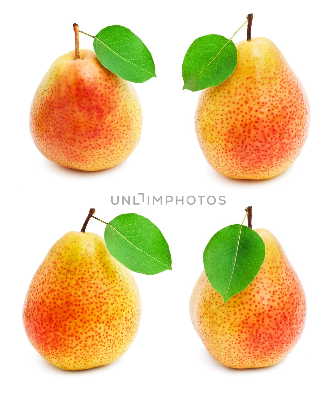 Collection of fresh pears isolated on white background