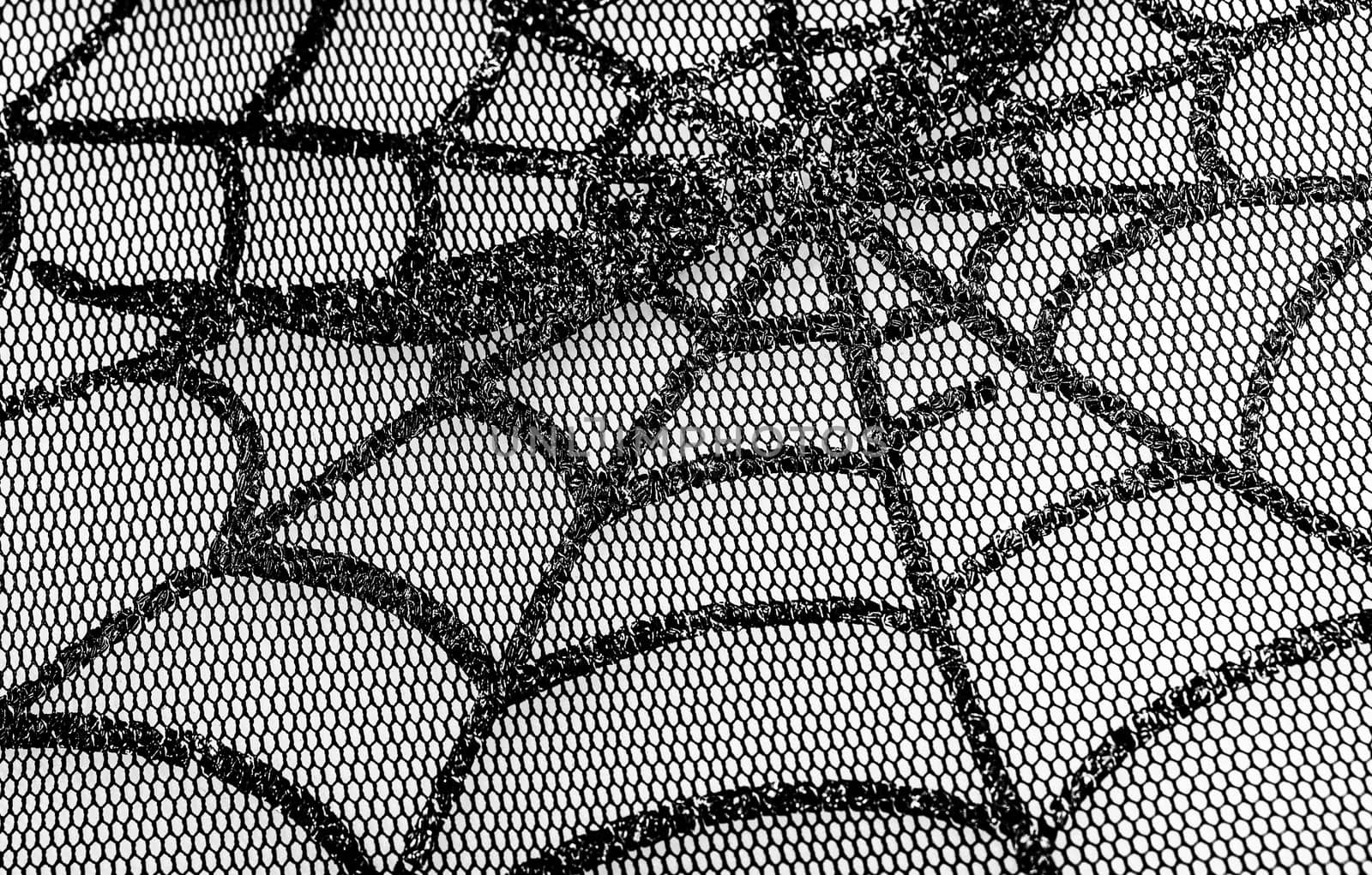 Mesh Web photographed close up for background on halloween