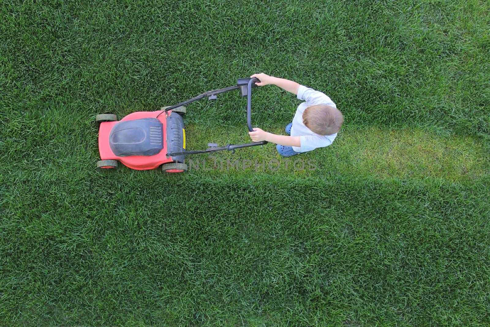 Little boy cuts a grass using lawn-mower by dedmorozz