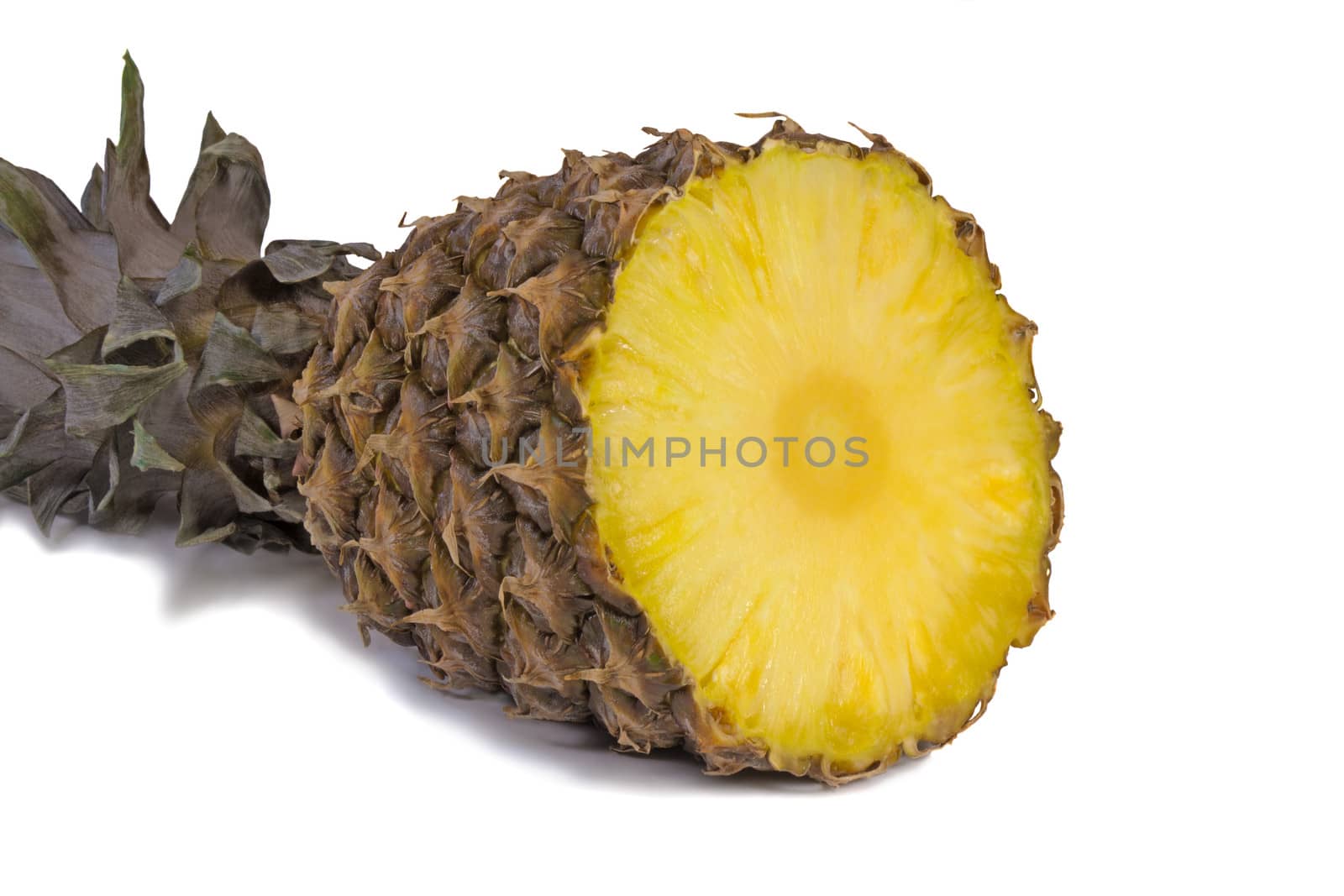Cut in half pineapple leaves. Presented on a white background.
.