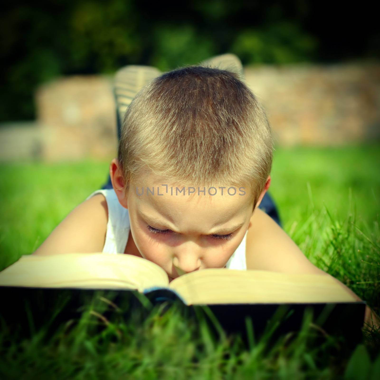 Child reads a Book by sabphoto