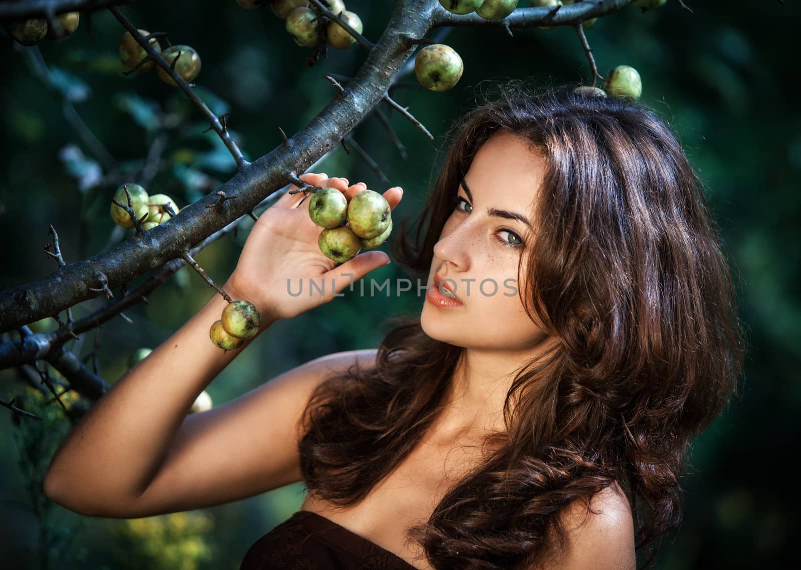 young woman with wild apples by palinchak