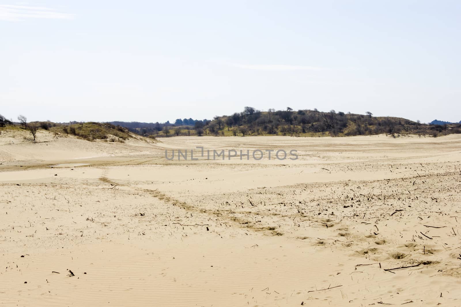 Sand landscape, National Park Zuid Kennemerland, The Netherlands by Tetyana