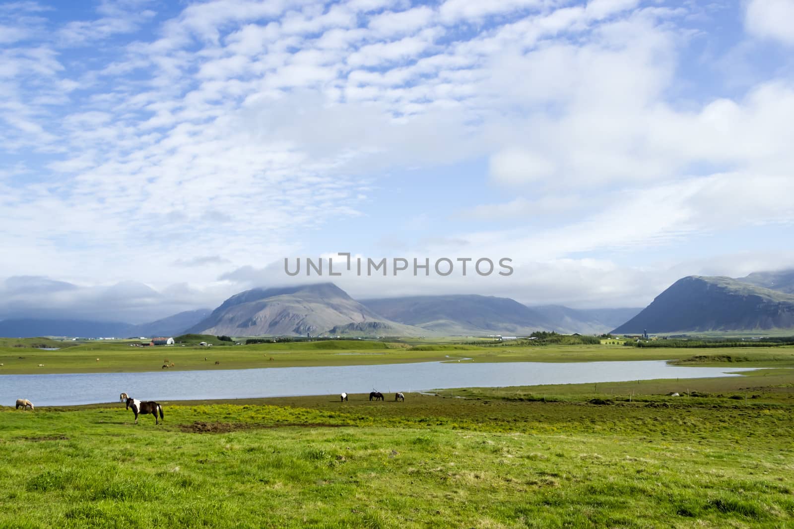 Beautiful lake against mountain background, Iceland, good summer by Tetyana