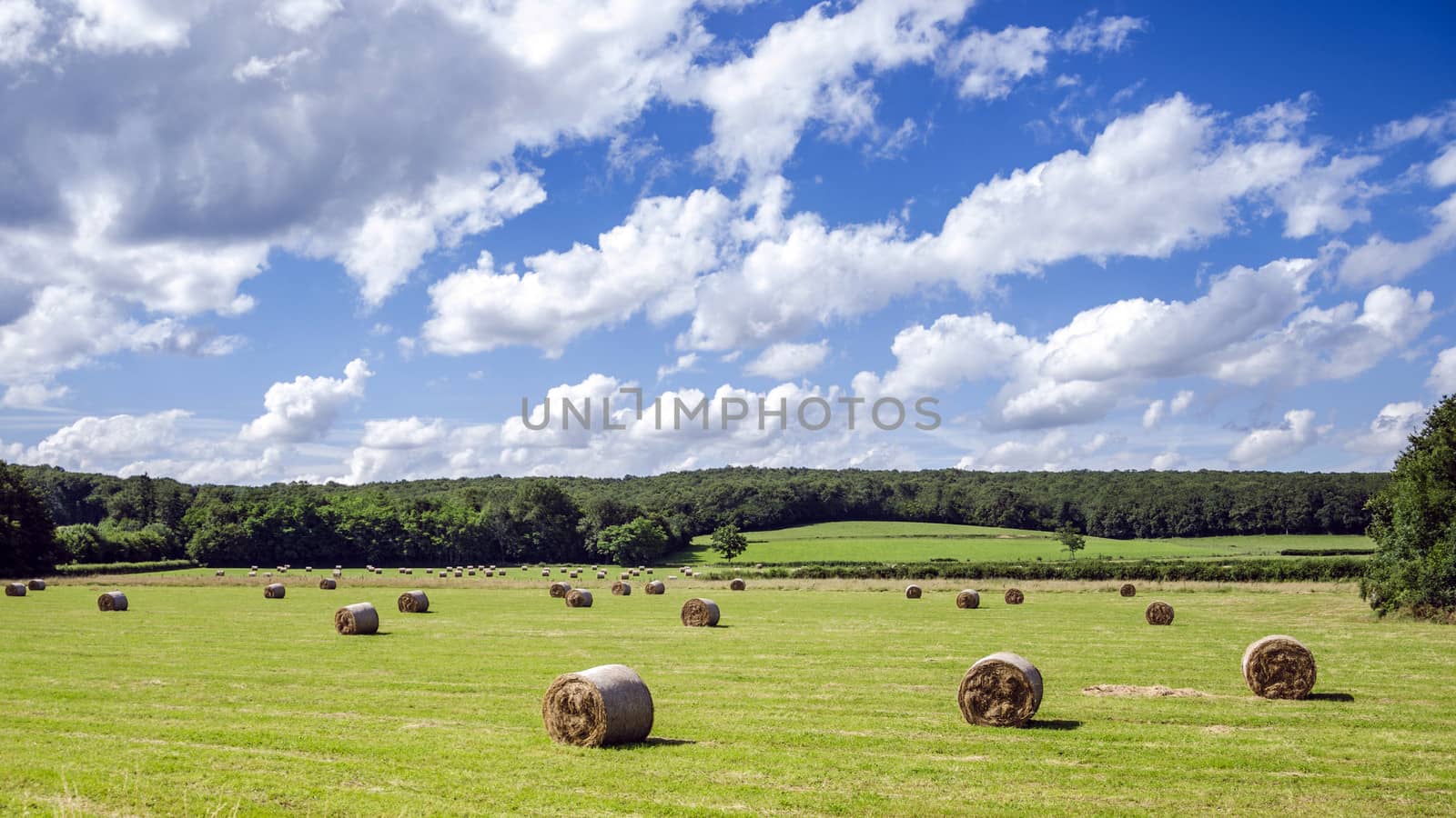 Landscape view over field with lots of hay bales.