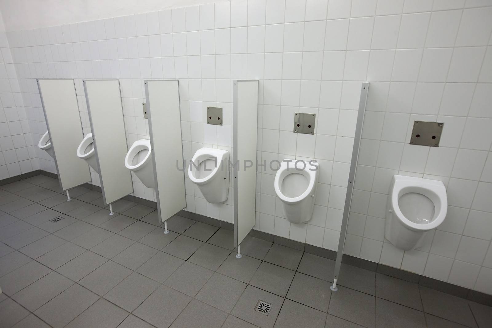 Many urinals in a toilet