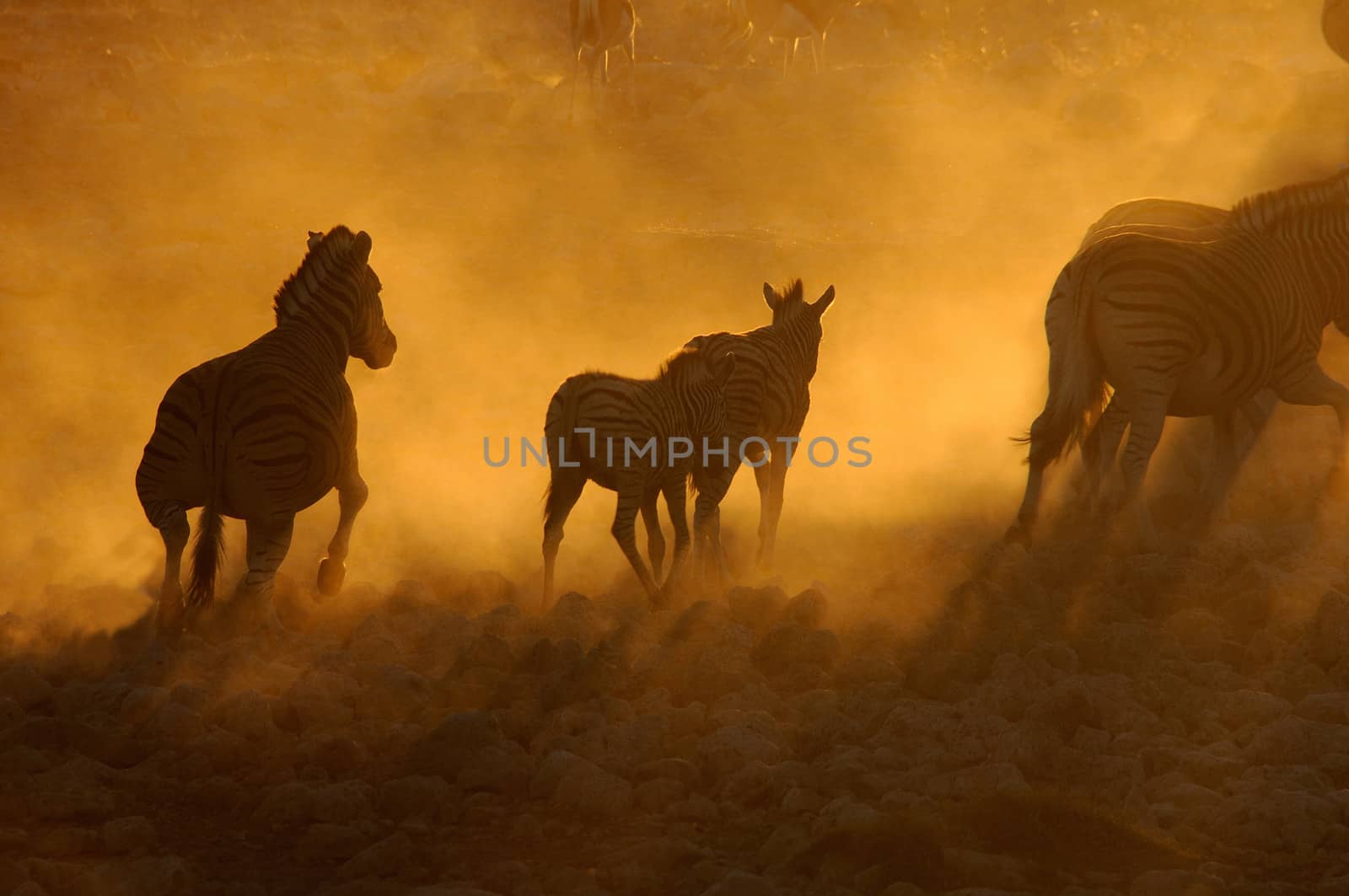 Sunset at the Okaukeujo waterhole in Namibia