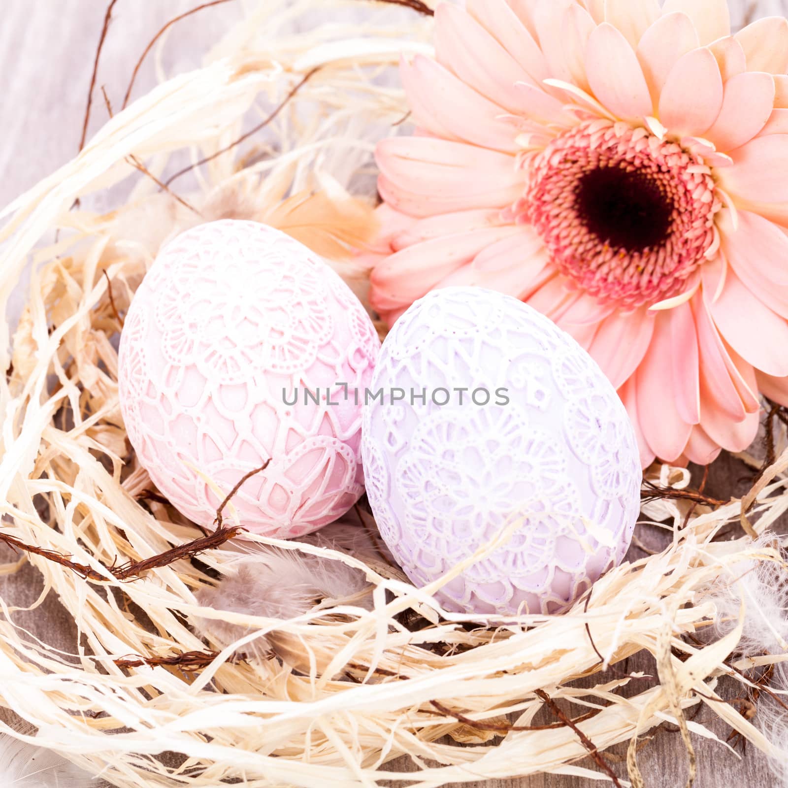 Beautiful pastel coloured Easter eggs in handcrafted intricate crocheted covers with a fresh pink Gerbera daisy in a clean straw nest for a traditional symbolic Easter celebration