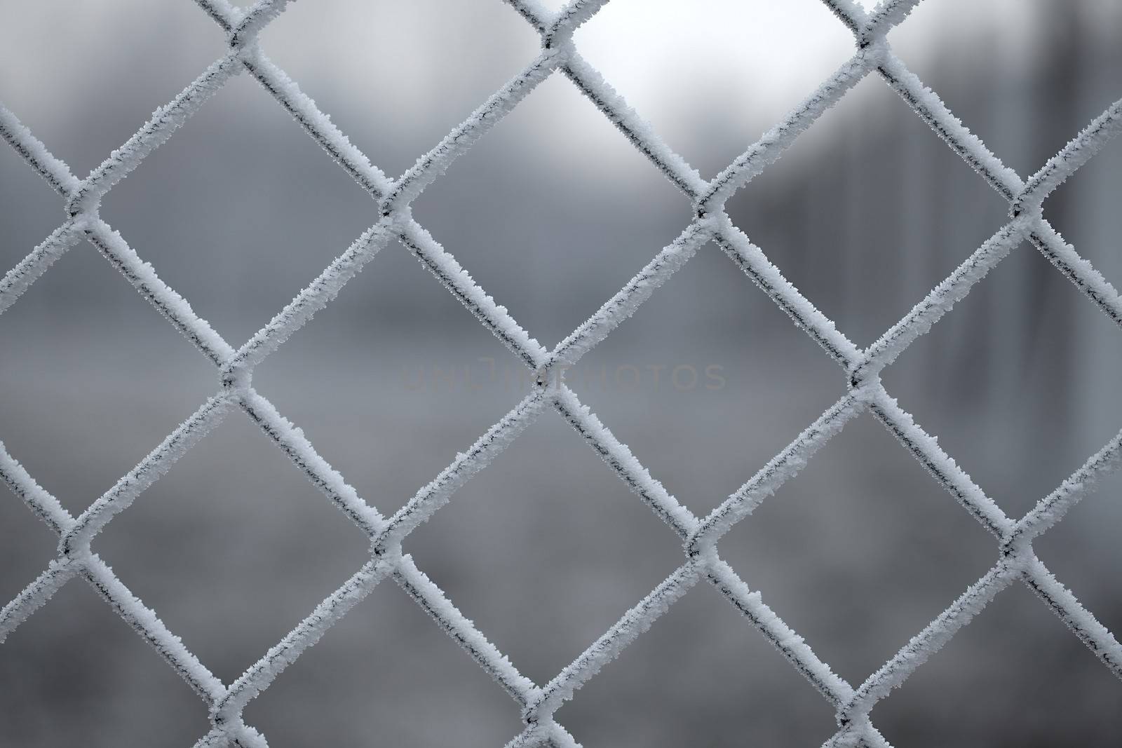 Icy wire mesh fence in winter