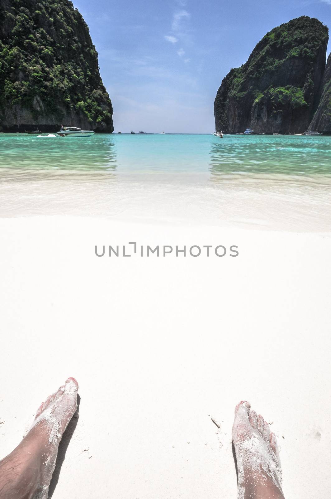 Feeds on Beach View of Maya Bay, Phi Phi island, Thailand Perfect tropical bay, Asia.