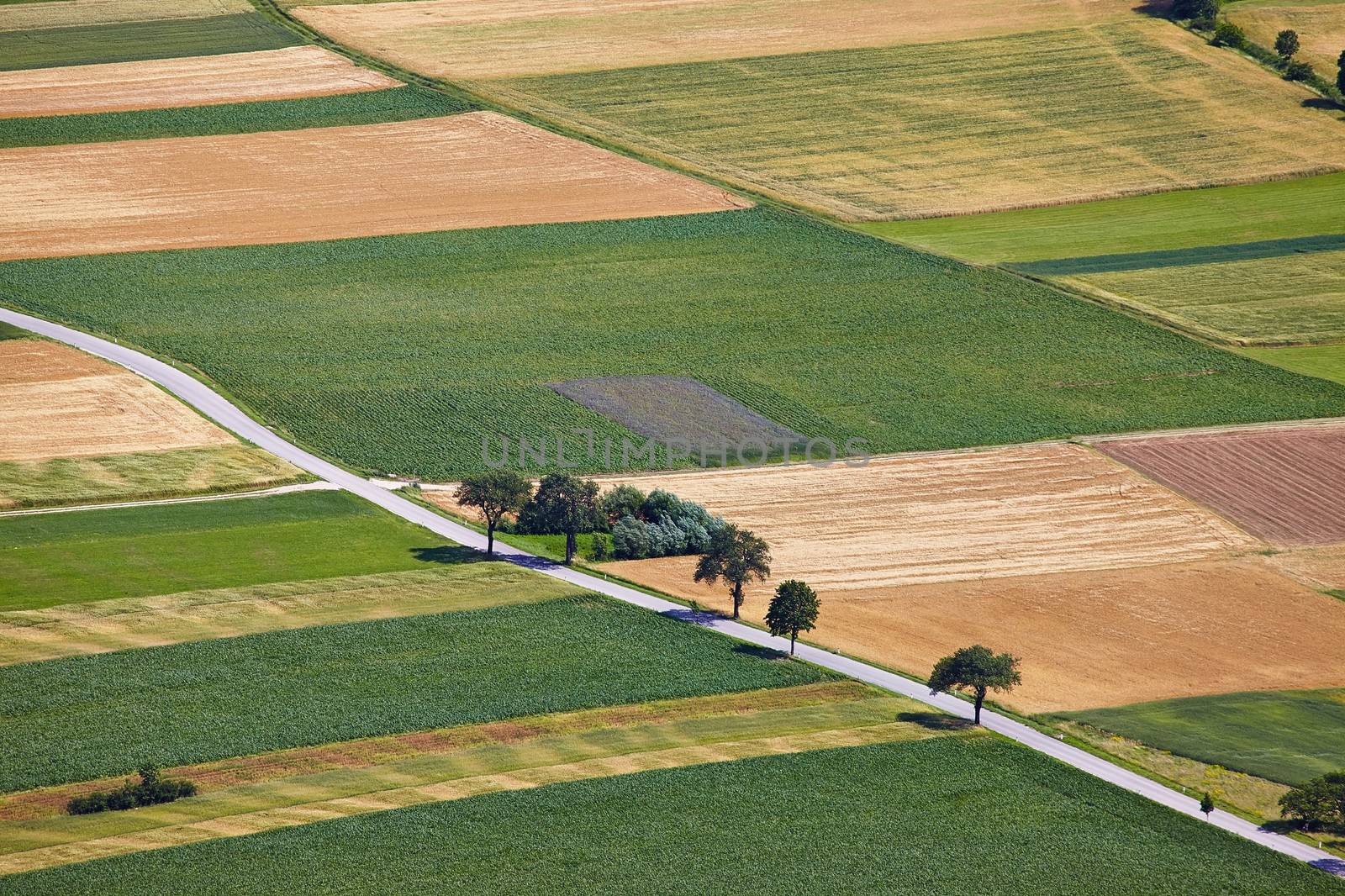 Aerial view of agricultural fields