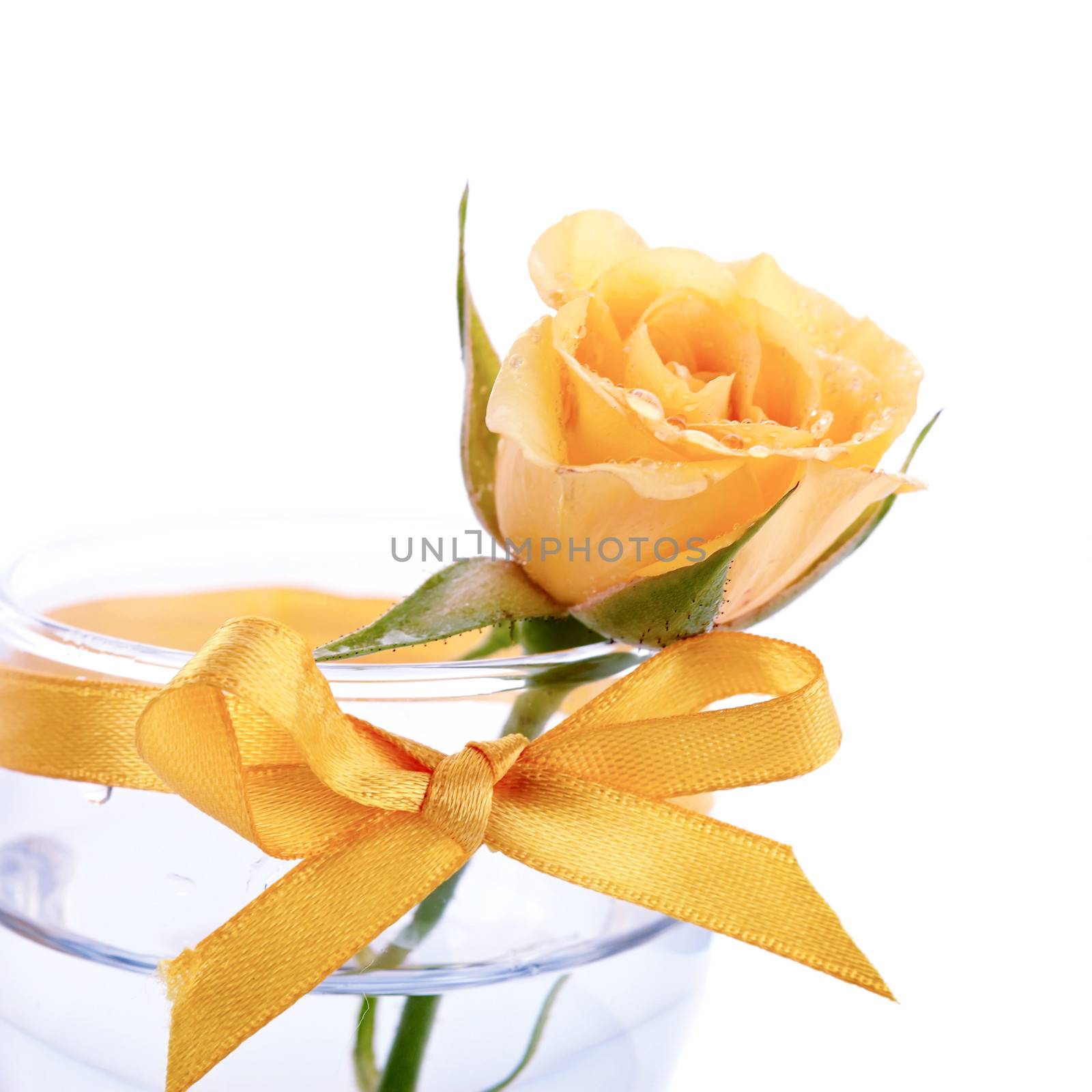 Yellow rose. Yellow flower of a rose in a glass with a bow. Yellow flowers. Rose. Bouquet of roses.