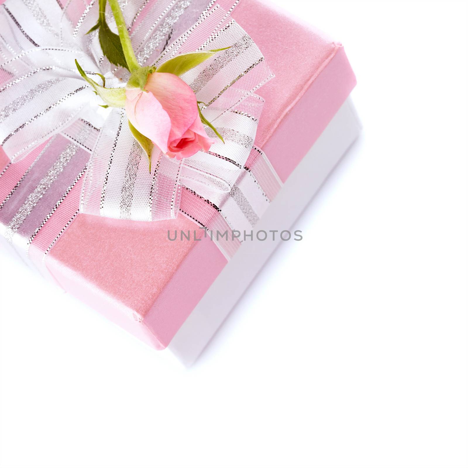 Gift box and roses. Festive surprise. Box with a bow. Elegant gift.