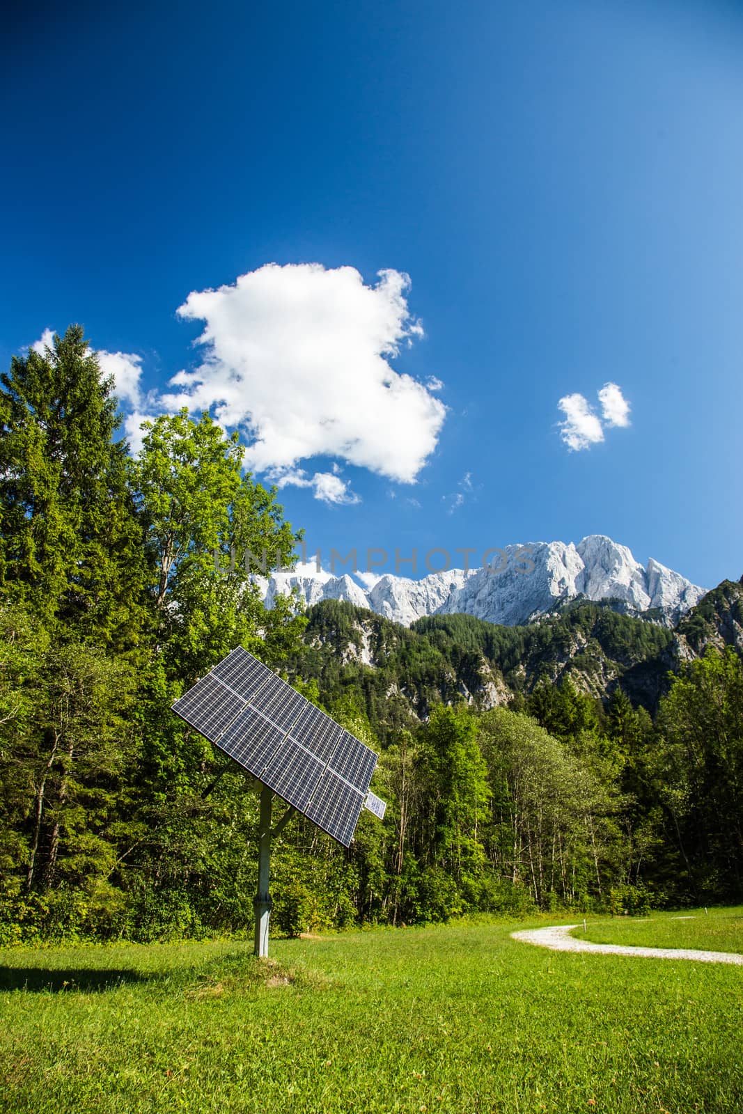 Solar pannel on the green fresh grass