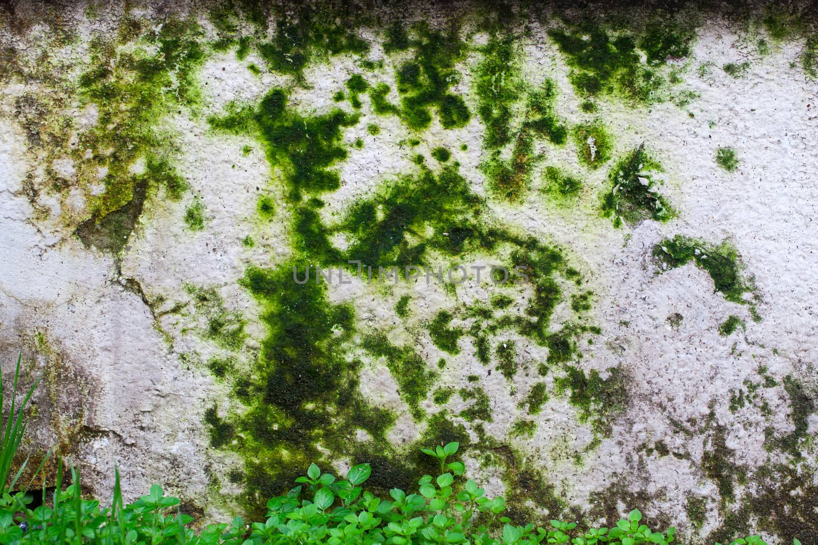 Dirty Grunge Wall Textural background