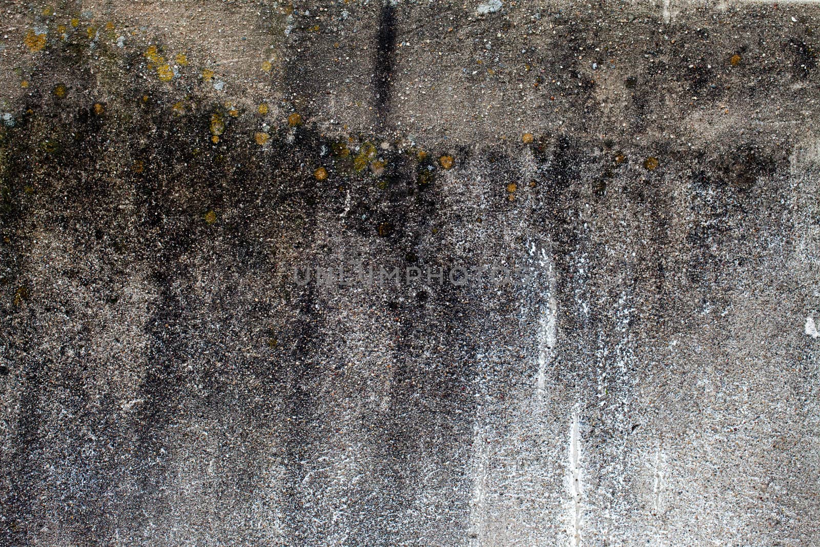 Dirty Grunge Wall by okanakdeniz