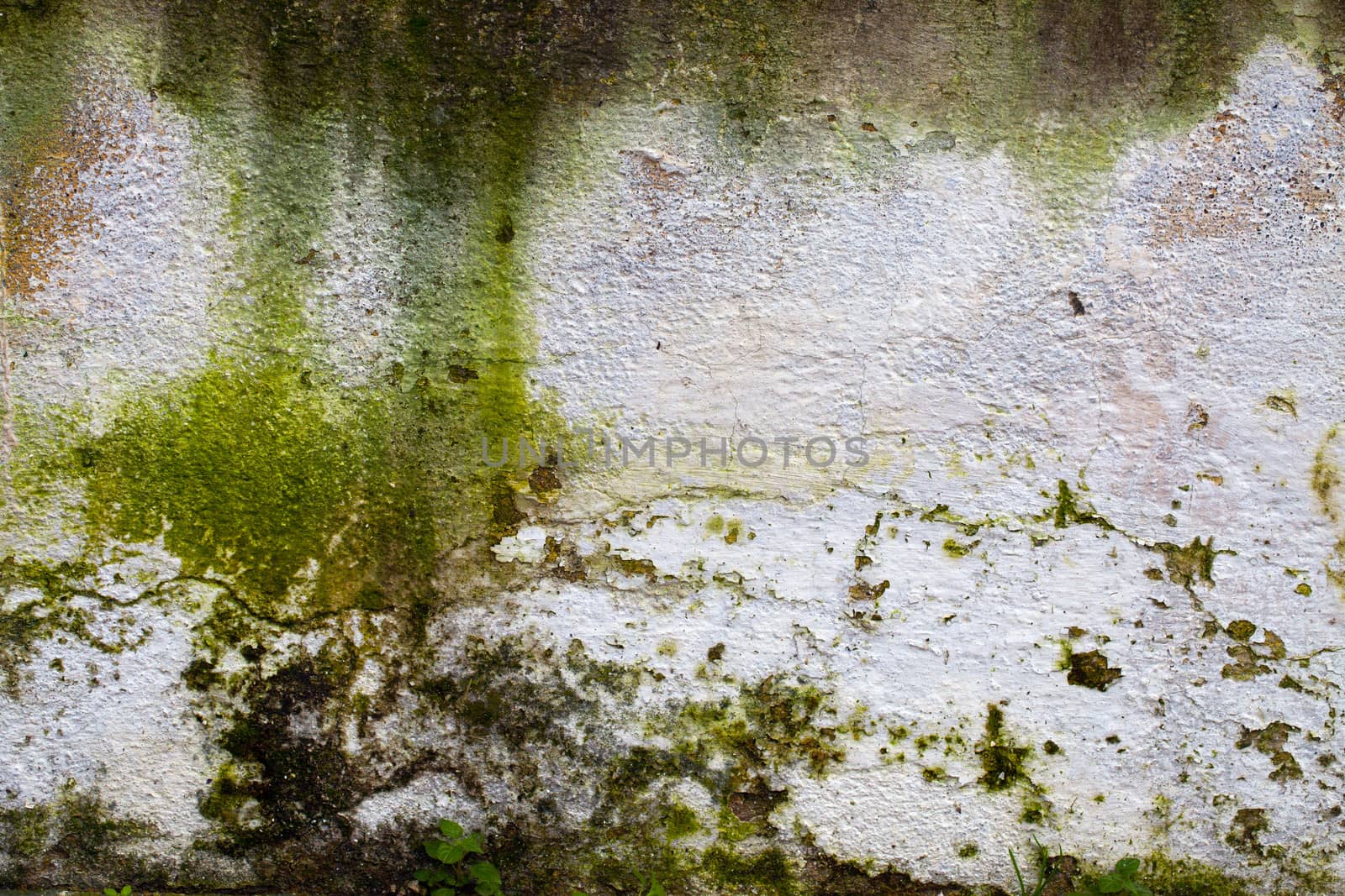 Dirty Grunge Wall by okanakdeniz