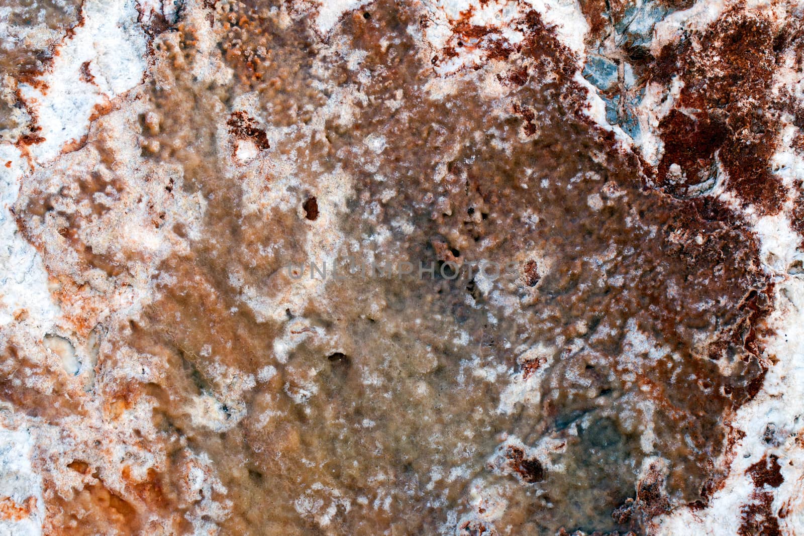 Rock Texture Background