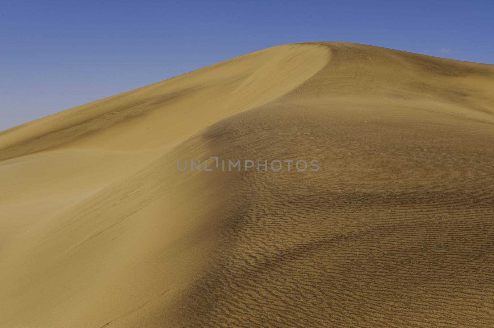 The Dune 7 of Namib Desert in Namibia.