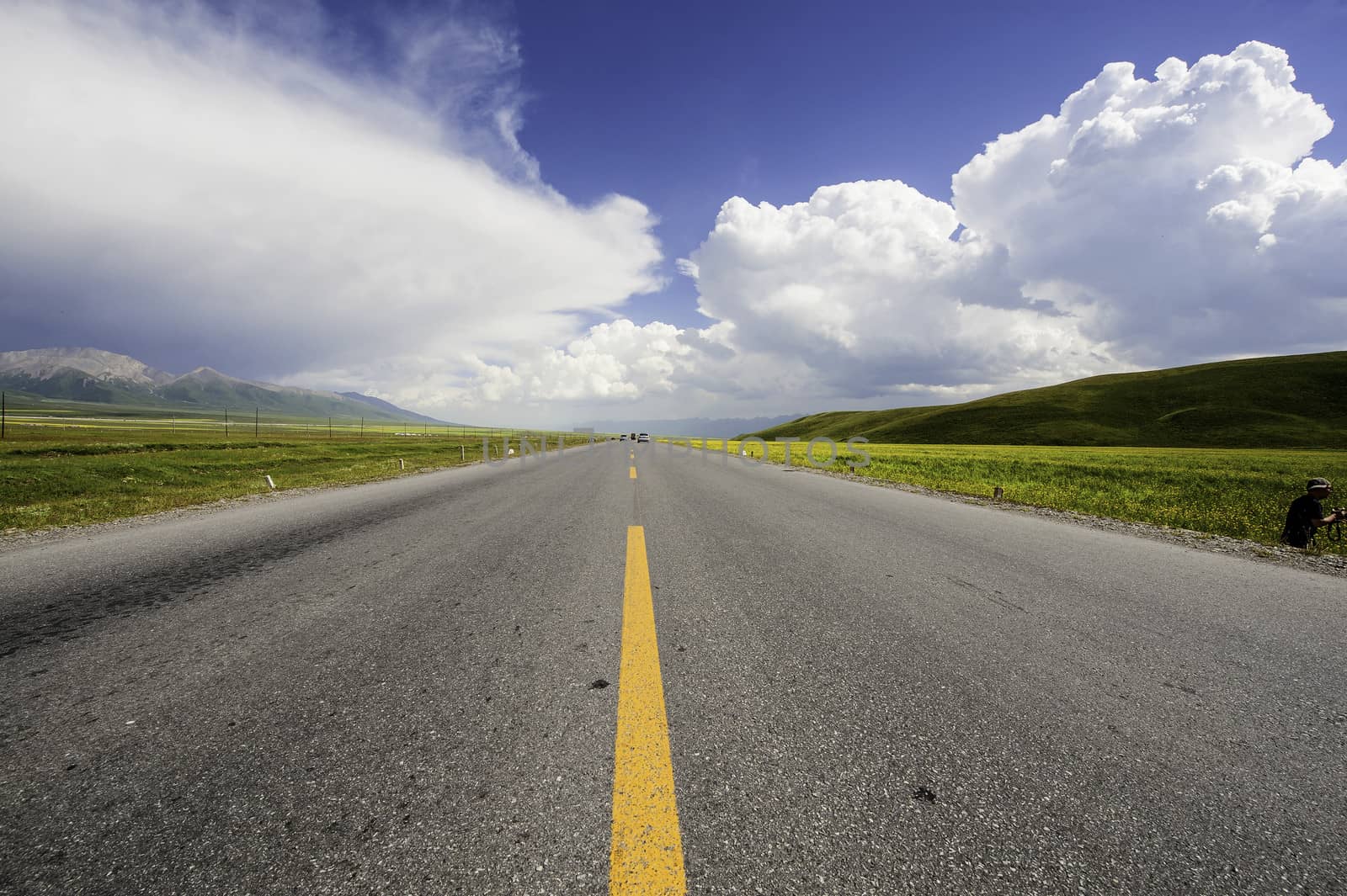 The colorful road with blue sky and cole flowers in Qinghai, China.