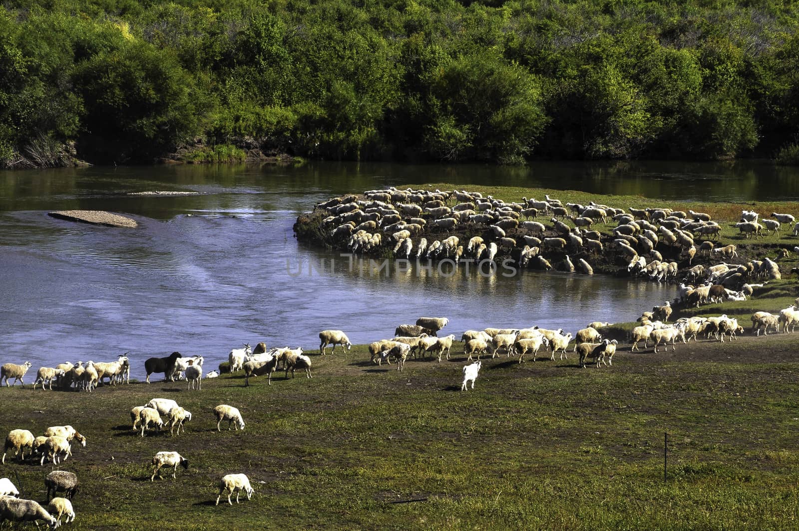 The Hulun Buir prairie in Inner Mongolia of China.