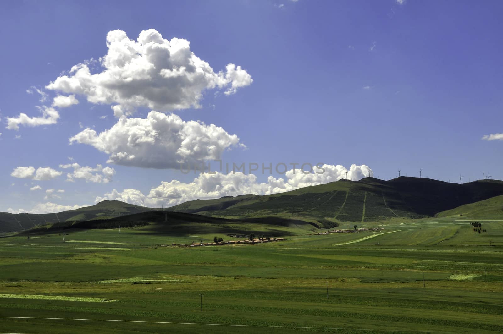 The Bashang Prairie in Hebei province of China.