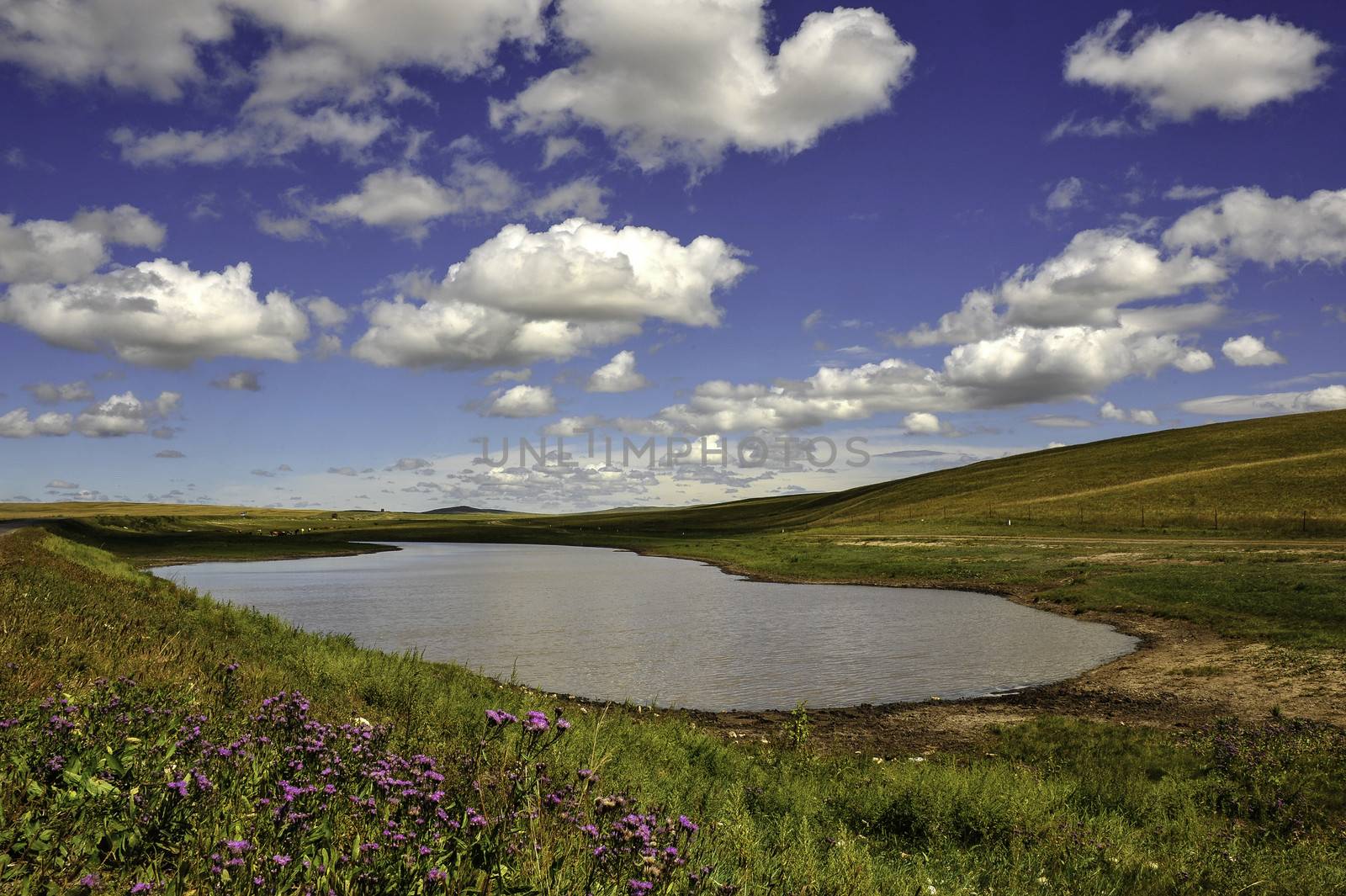 The nature beautiful Hulun prairie in Inner Mongolia, China.