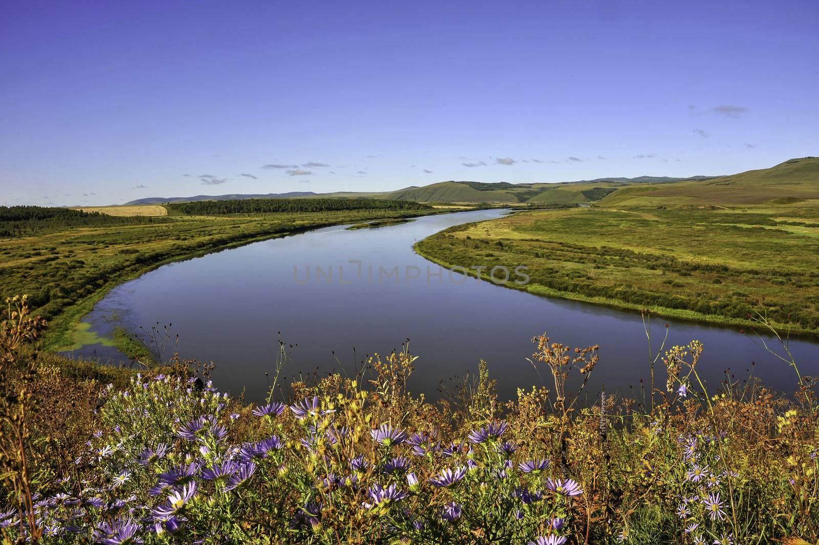 Colorful prairie by JasonYU