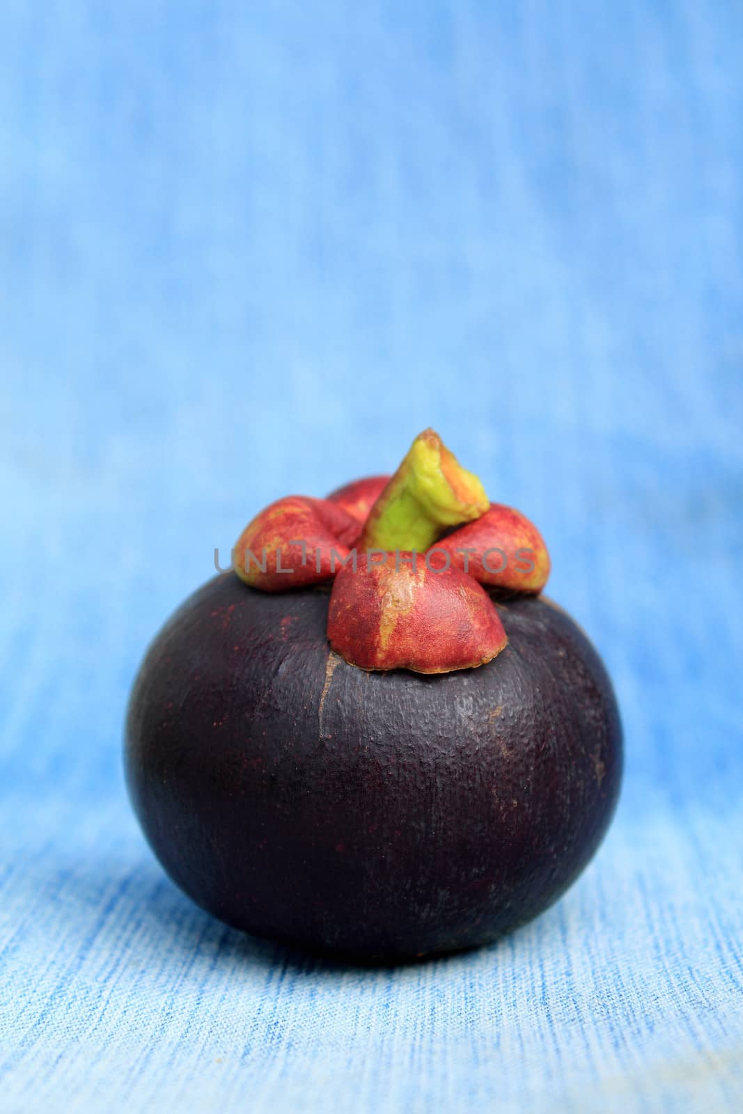 Fresh mangosteen fruit