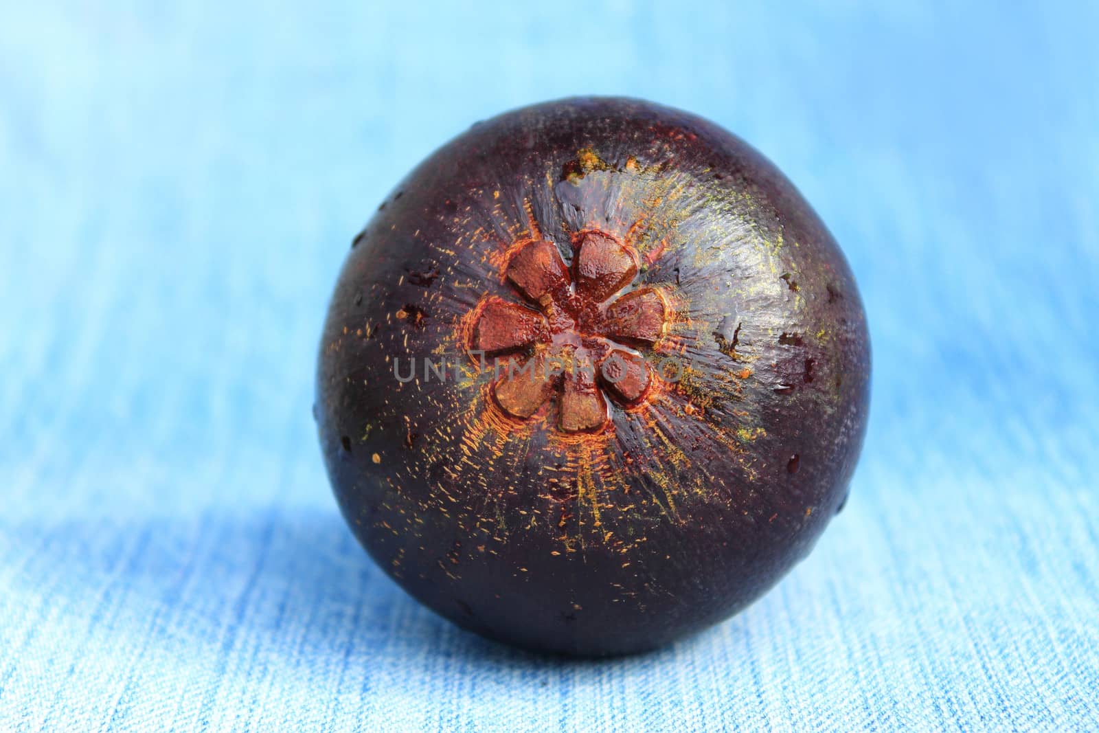 Fresh mangosteen fruit