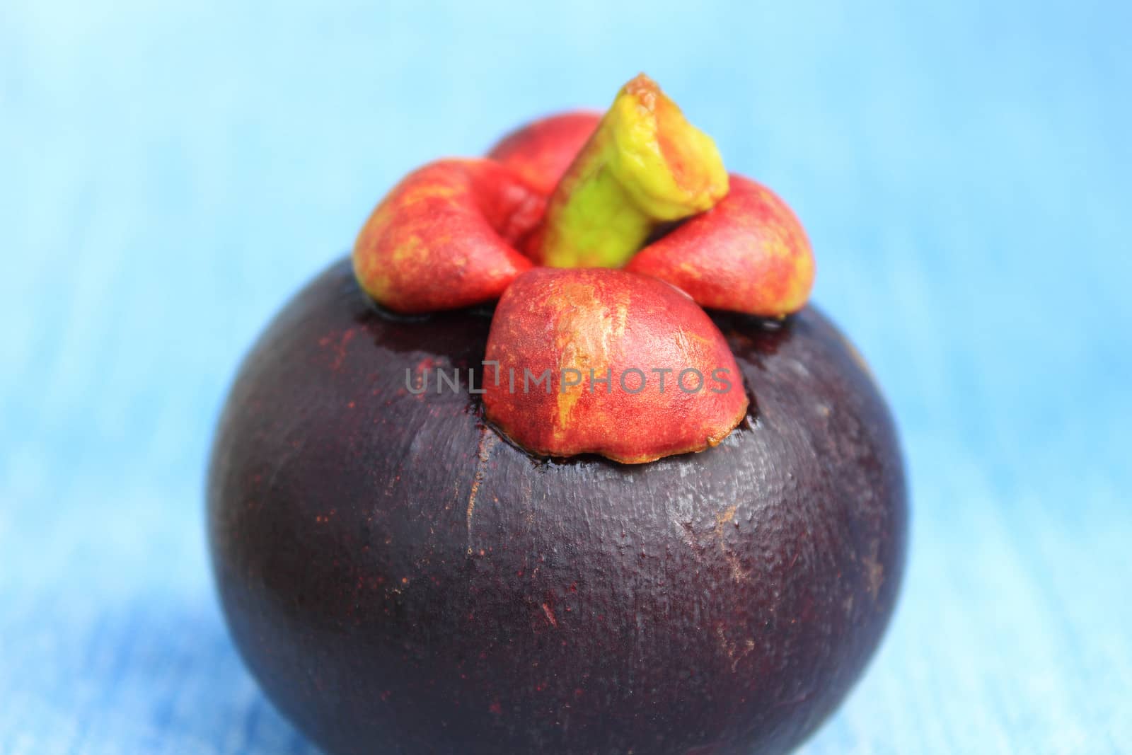 Fresh mangosteen fruit