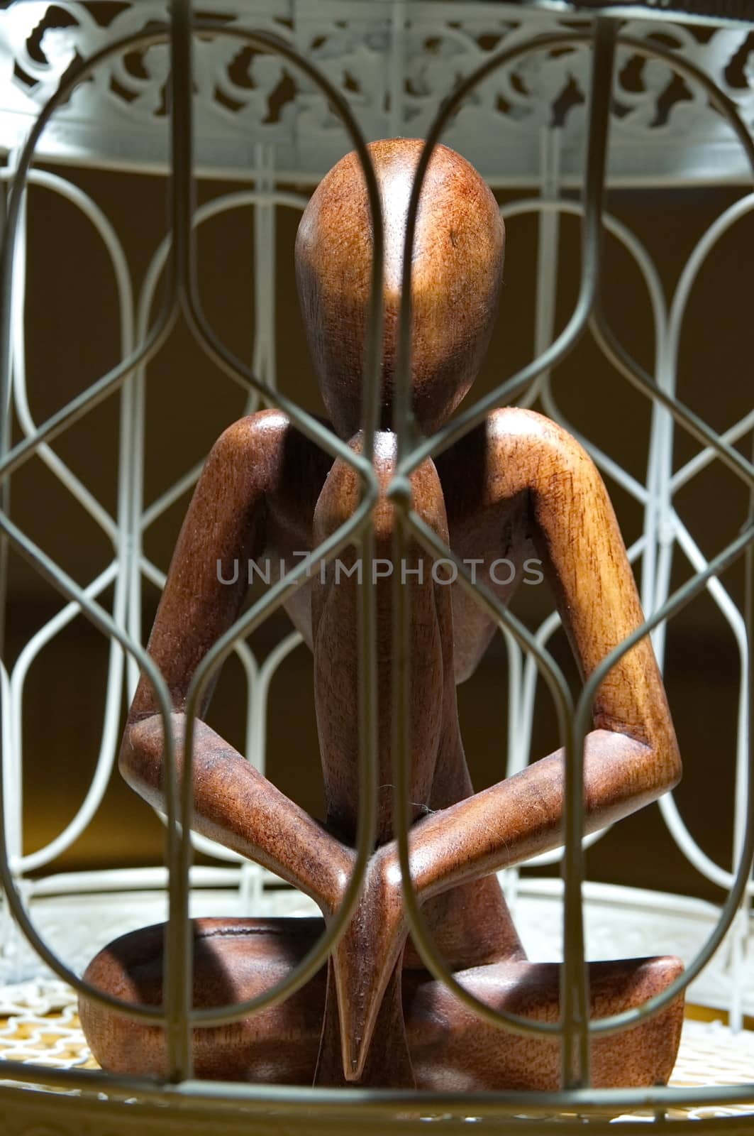 Wooden figurine in a cage by anderm