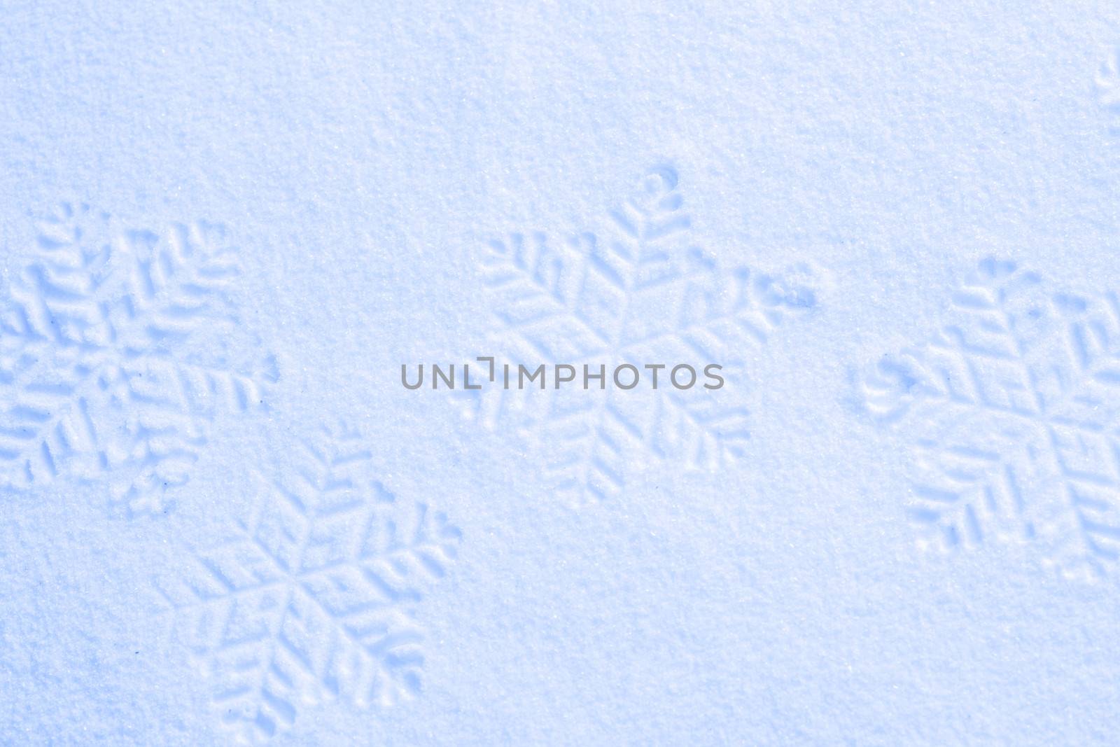 Snowflake on the snow. by anelina