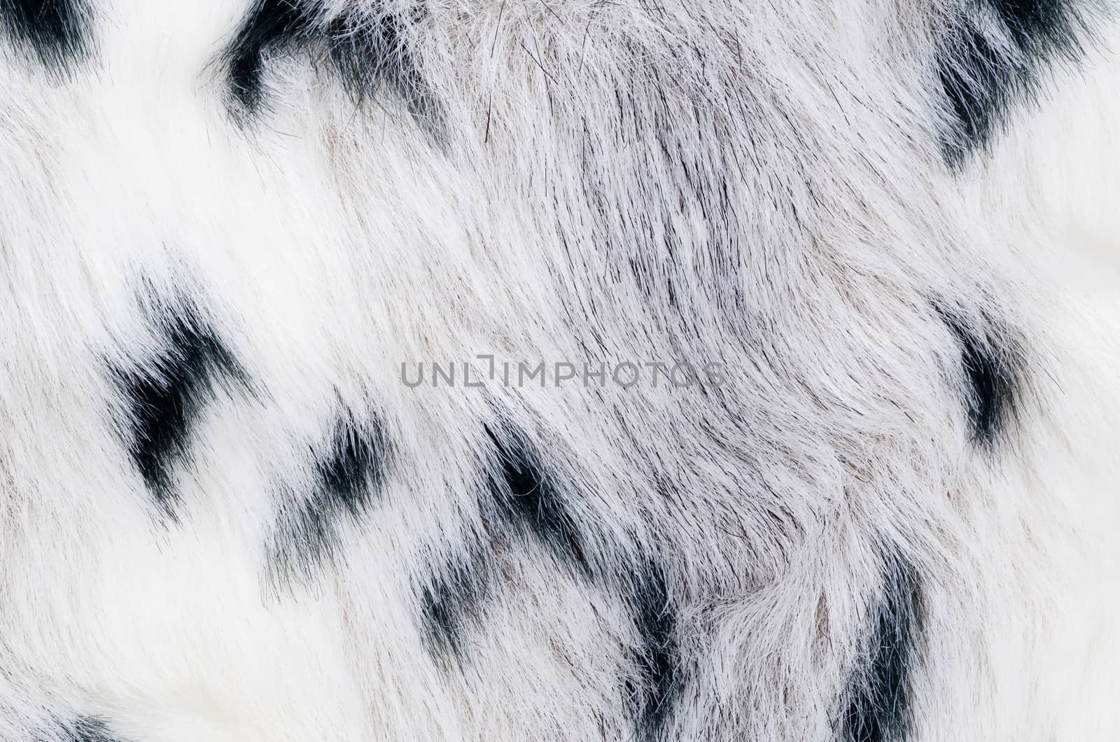 Closeup full frame take of a  cow skin rug