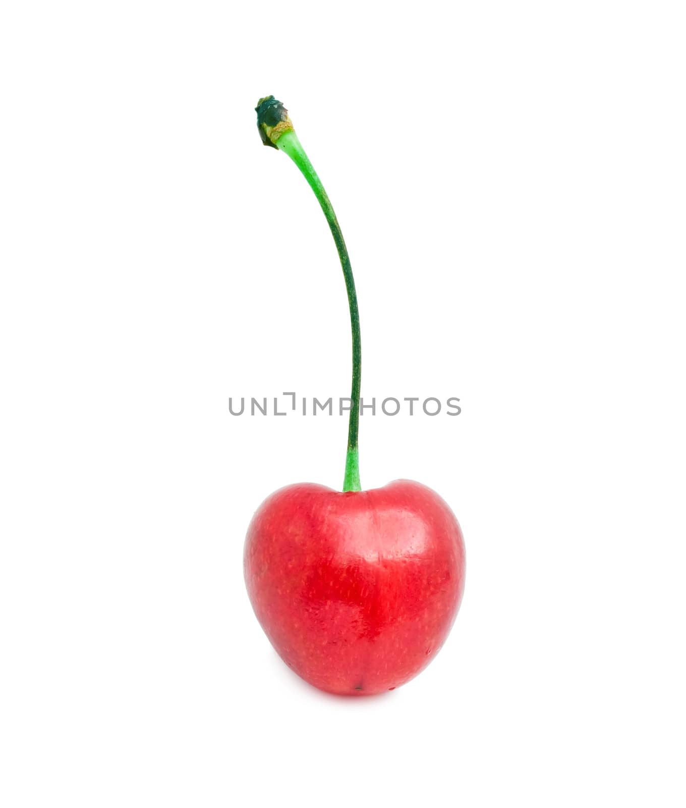 Beautiful red cherry isolated on white background