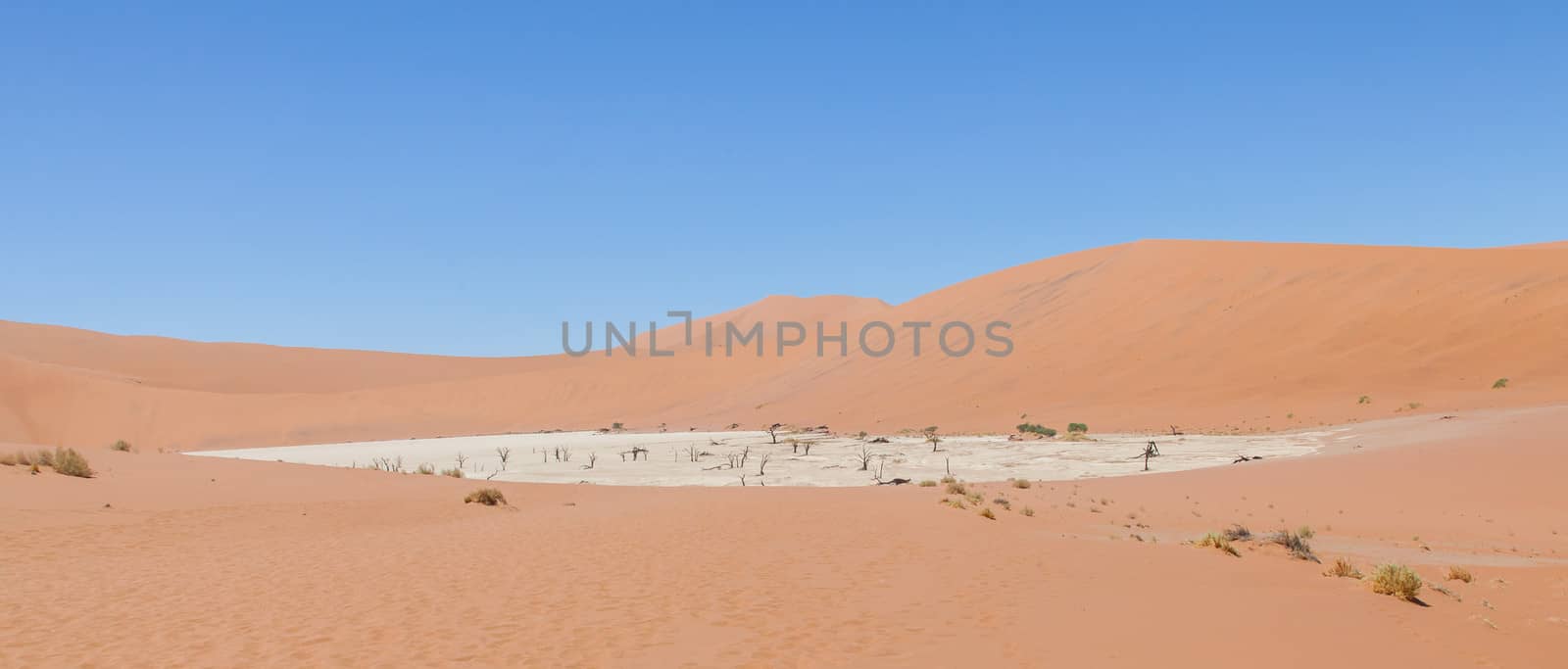 View over the deadvlei with the famous red dunes of Namib desert, Deadvlei (Sossusvlei), Namibia