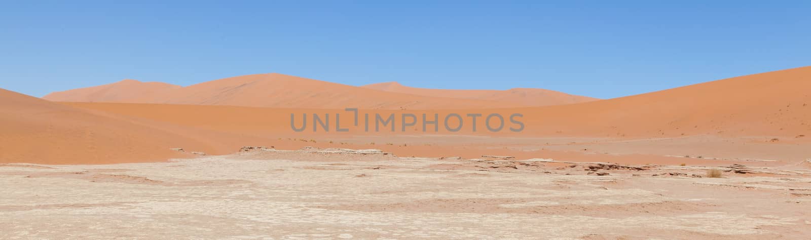 Dead acacia trees and red dunes of Namib desert, Deadvlei (Sossusvlei), Namibia