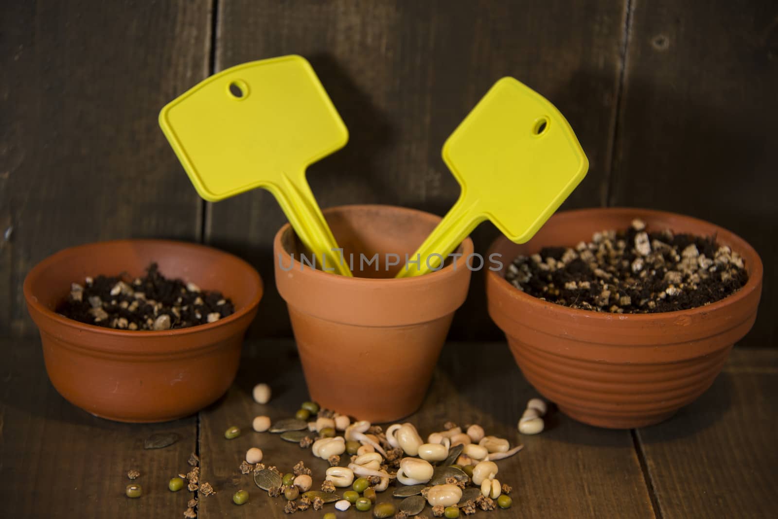 Seeds and terracotta pots by GryT
