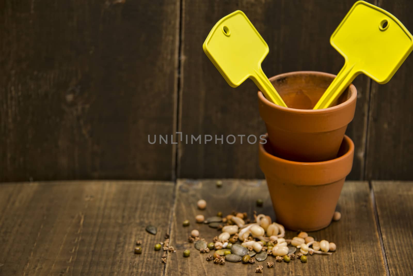 Seeds and containers by GryT