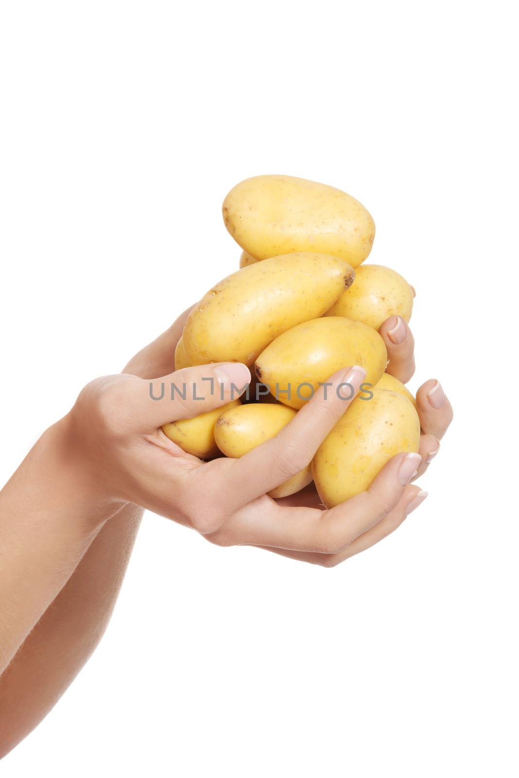 Raw potatores are held by a caucasian woman. Isolated on white.