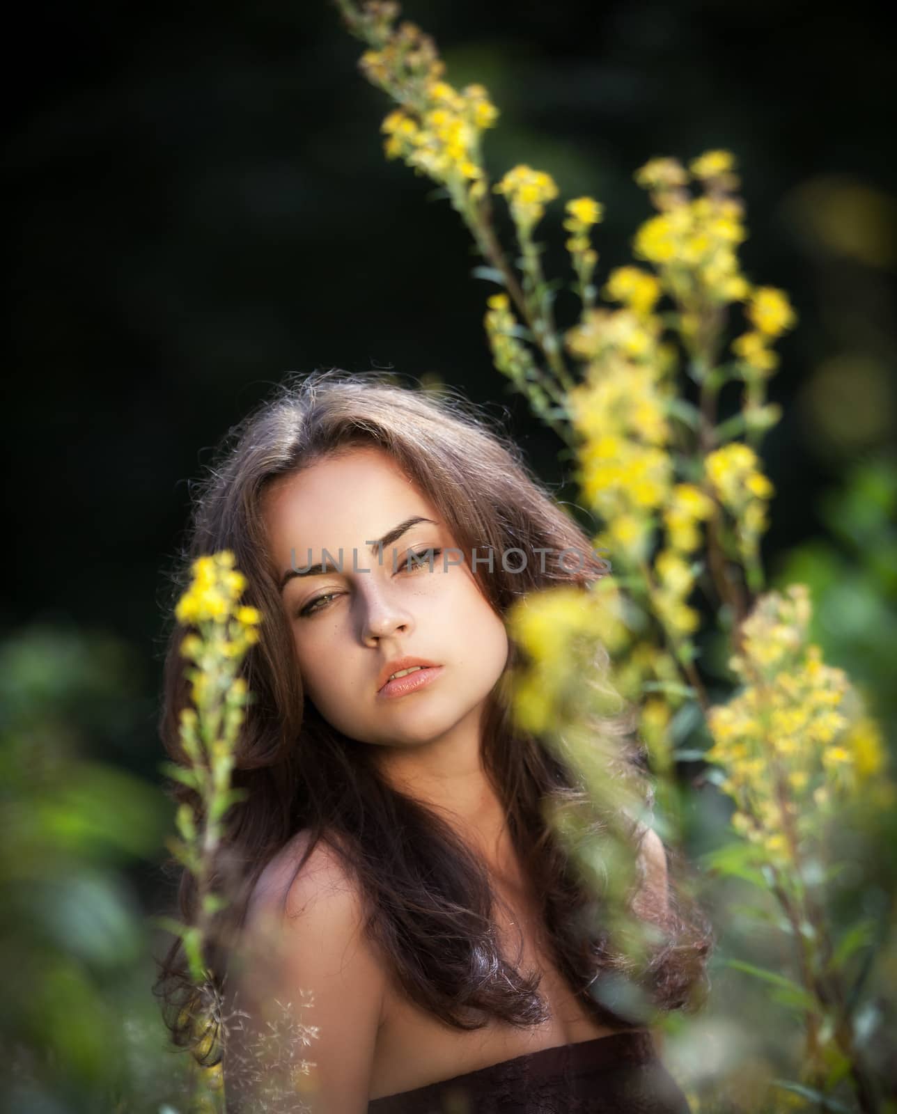 Young woman in flowers field on blured nature background