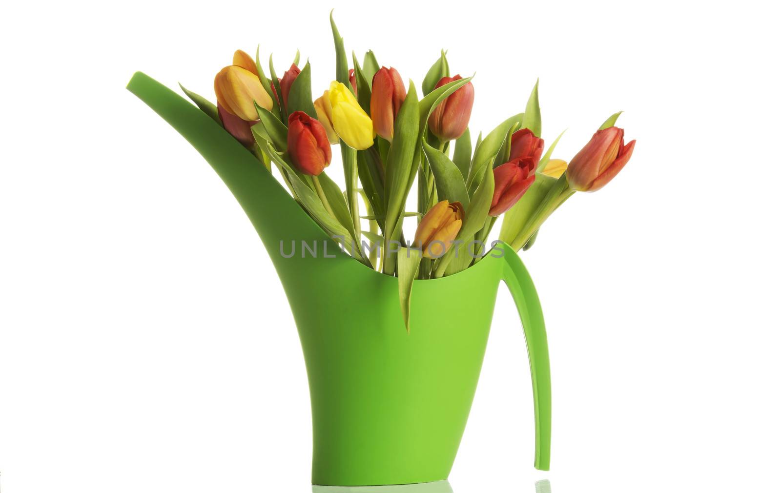 Bouquet of fresh living tulips. Isolated on white.