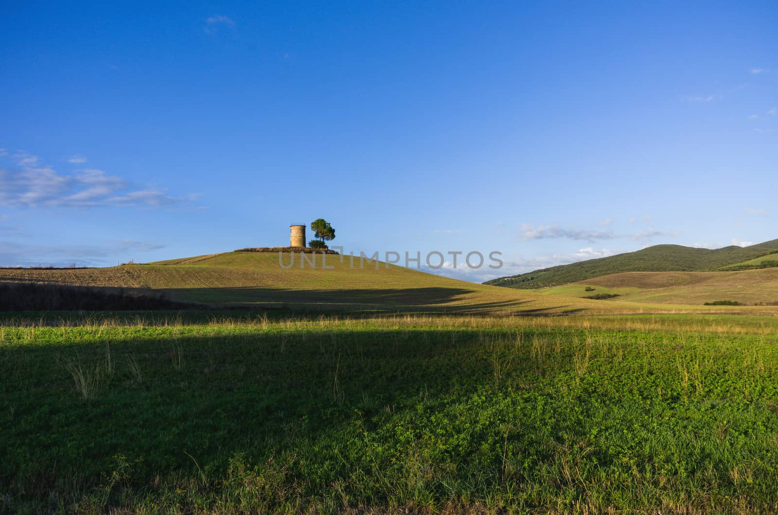 Warm afternoon in Bibbona's countryside, Tuscany