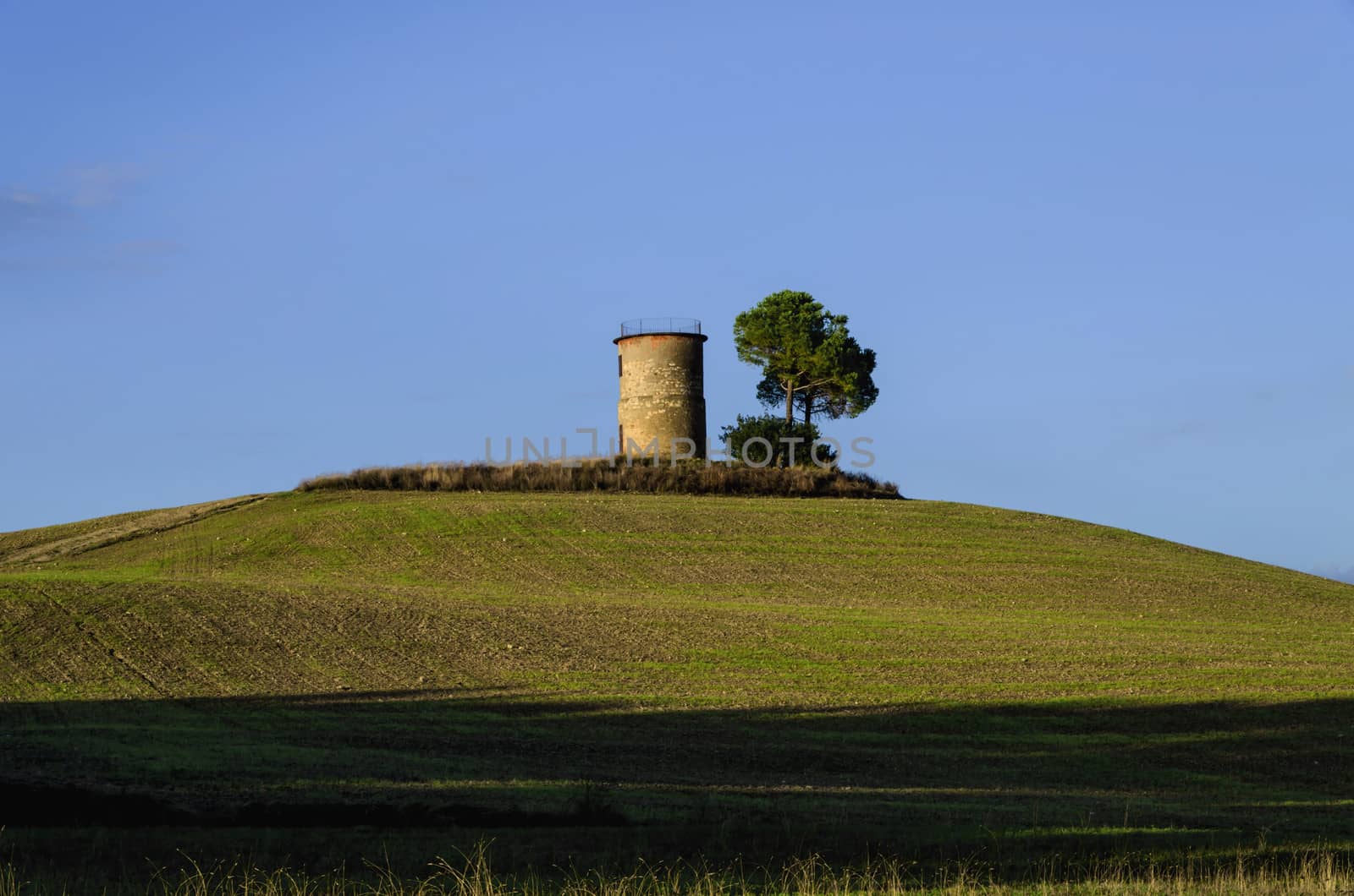 Warm afternoon in Bibbona's countryside, Tuscany