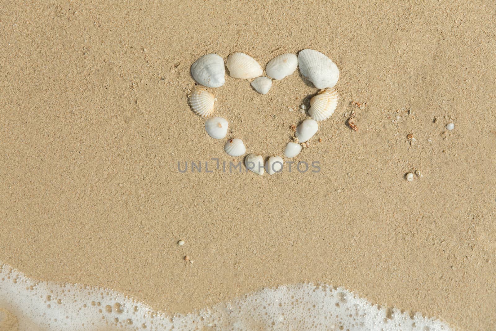 Sea shells forming heart, Valentines day theme 