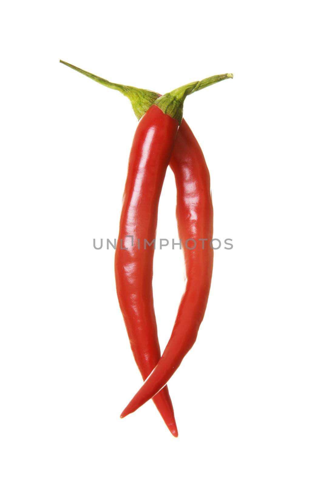 Two red chili peppers. Isolated on white.